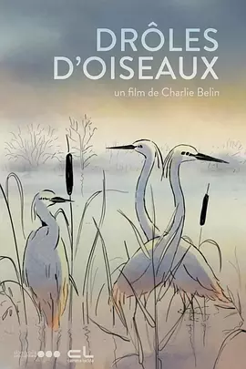 水蜜桃免费看