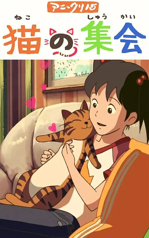 91丝袜美女网
