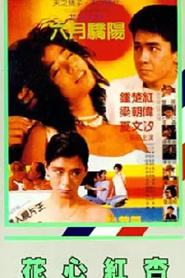 文轩探花在线观看