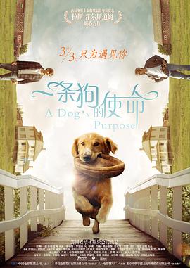 欧美日韩色视频在线观看
