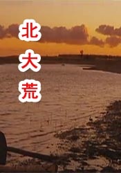 一区自拍