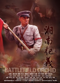 光溜溜瑜伽全套视频大全下载